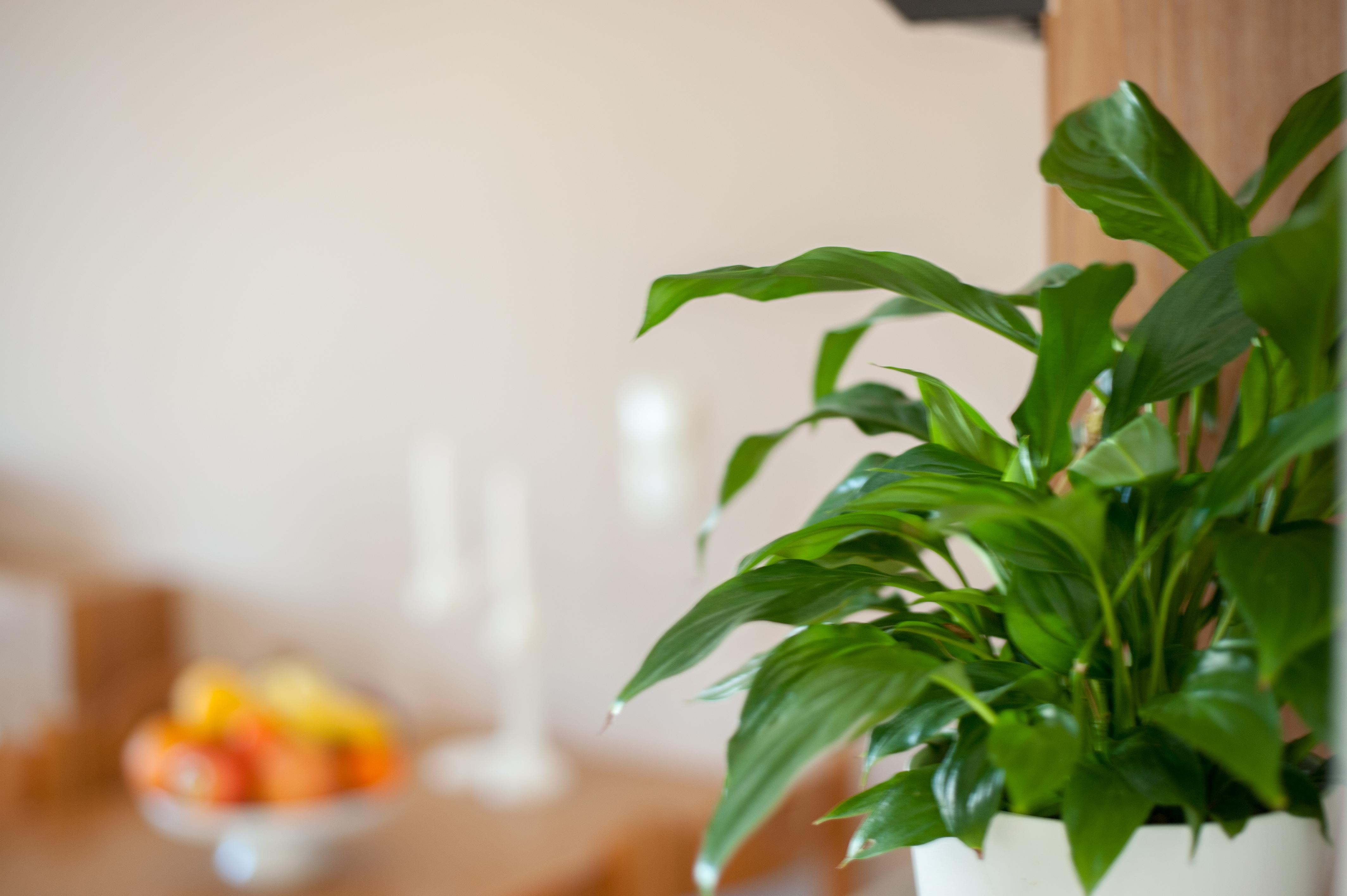 Blue Dome Hotel Chania  Ngoại thất bức ảnh